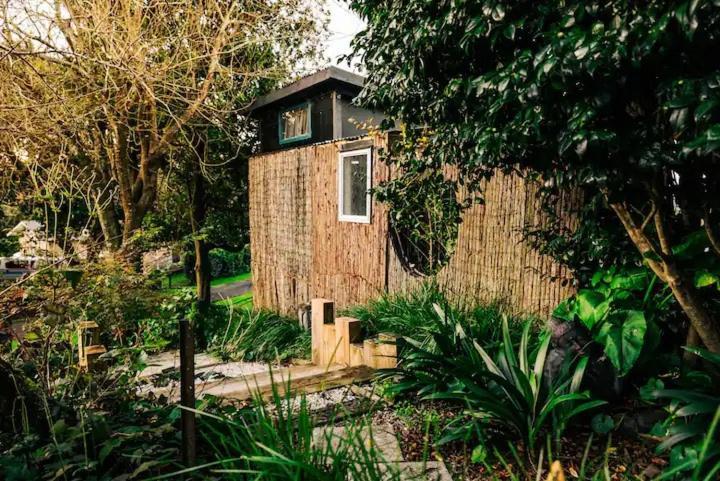 Starry Nights Cabin Fever Waikino Exterior foto