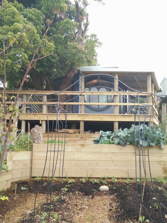 Starry Nights Cabin Fever Waikino Exterior foto